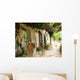 Greek Courtyard with Grapevine Wall Decal