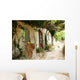 Greek Courtyard with Grapevine Wall Decal