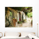 Greek Courtyard with Grapevine Wall Decal