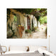 Greek Courtyard with Grapevine Wall Decal