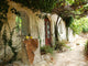 Greek Courtyard with Grapevine Wall Decal
