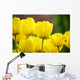 Tulipes Jaunes Wall Decal