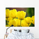 Tulipes Jaunes Wall Decal