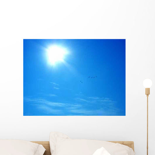 Seagulls Blue Sky Wall Decal