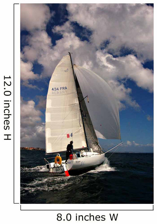 Sailing Wall Decal Design 2