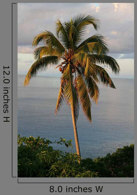 Seychelles Panorama Wall Decal