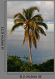 Seychelles Panorama Wall Decal