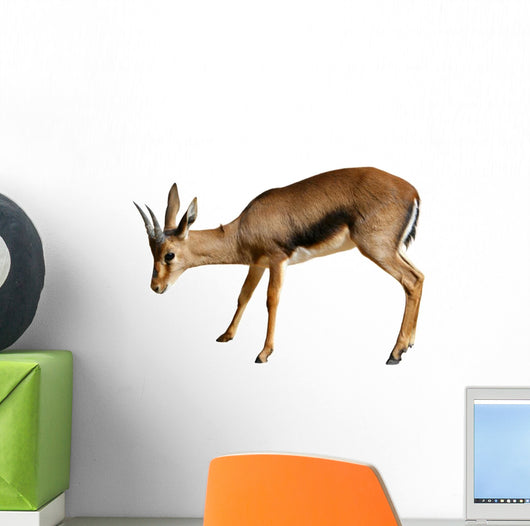 Gazelle White Wall Decal