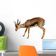 Gazelle White Wall Decal