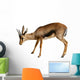 Gazelle White Wall Decal