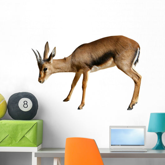 Gazelle White Wall Decal