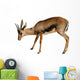 Gazelle White Wall Decal