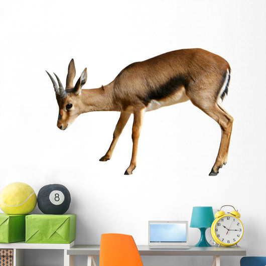 Gazelle White Wall Decal