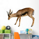 Gazelle White Wall Decal