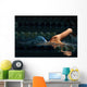 Swimming 020 Wall Decal