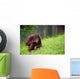 Cute Orangutan Wall Decal