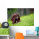 Cute Orangutan Wall Decal