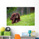 Cute Orangutan Wall Decal