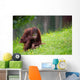 Cute Orangutan Wall Decal