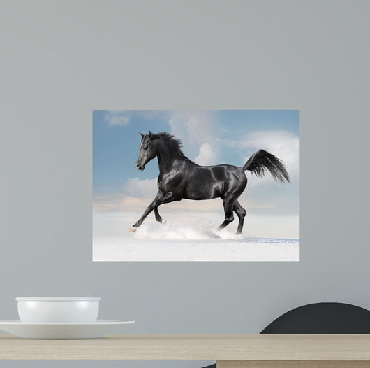 Black Arab Horse Winter Wall Decal