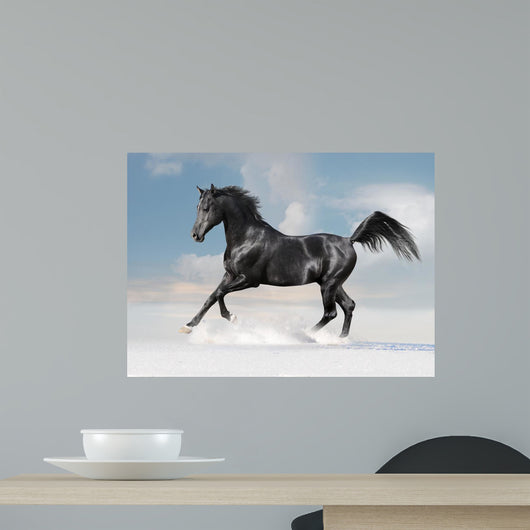 Black Arab Horse Winter Wall Decal