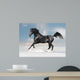 Black Arab Horse Winter Wall Decal