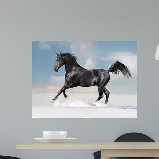 Black Arab Horse Winter Wall Decal
