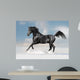 Black Arab Horse Winter Wall Decal