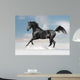 Black Arab Horse Winter Wall Decal