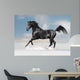 Black Arab Horse Winter Wall Decal