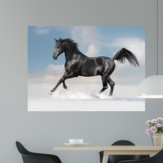 Black Arab Horse Winter Wall Decal