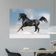 Black Arab Horse Winter Wall Decal
