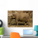Elephant Wall Decal