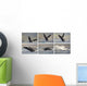 Whale Photo Sequence Wall Decal