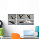 Whale Photo Sequence Wall Decal