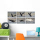 Whale Photo Sequence Wall Decal