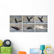 Whale Photo Sequence Wall Decal