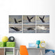 Whale Photo Sequence Wall Decal