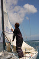 Sailing Wall Decal Design 1