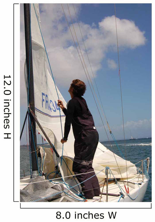 Sailing Wall Decal Design 1