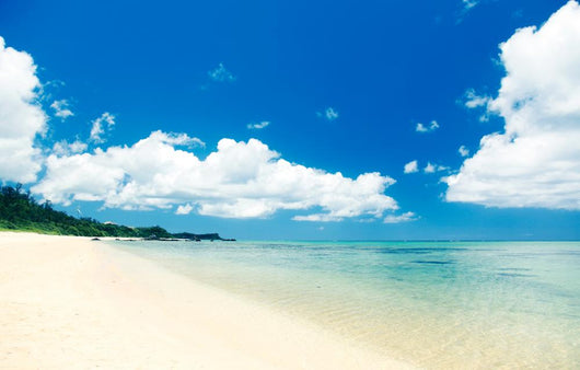 Beaches Okinawa Wall Decal