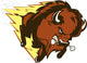 Buffalo Thunder Wall Decal
