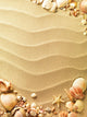 Sea Shells with Sand Wall Decal
