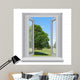 Tree outside Window Wall Decal