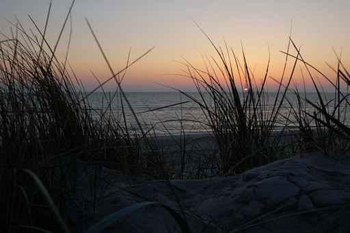 Sunset Wall Decal Design 4