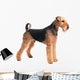 Airedale Terrier Dog Wall Decal