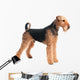 Airedale Terrier Dog Wall Decal