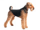 Airedale Terrier Dog Wall Decal