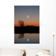 Winter Moon and Lone Wall Decal