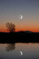 Winter Moon and Lone Wall Decal